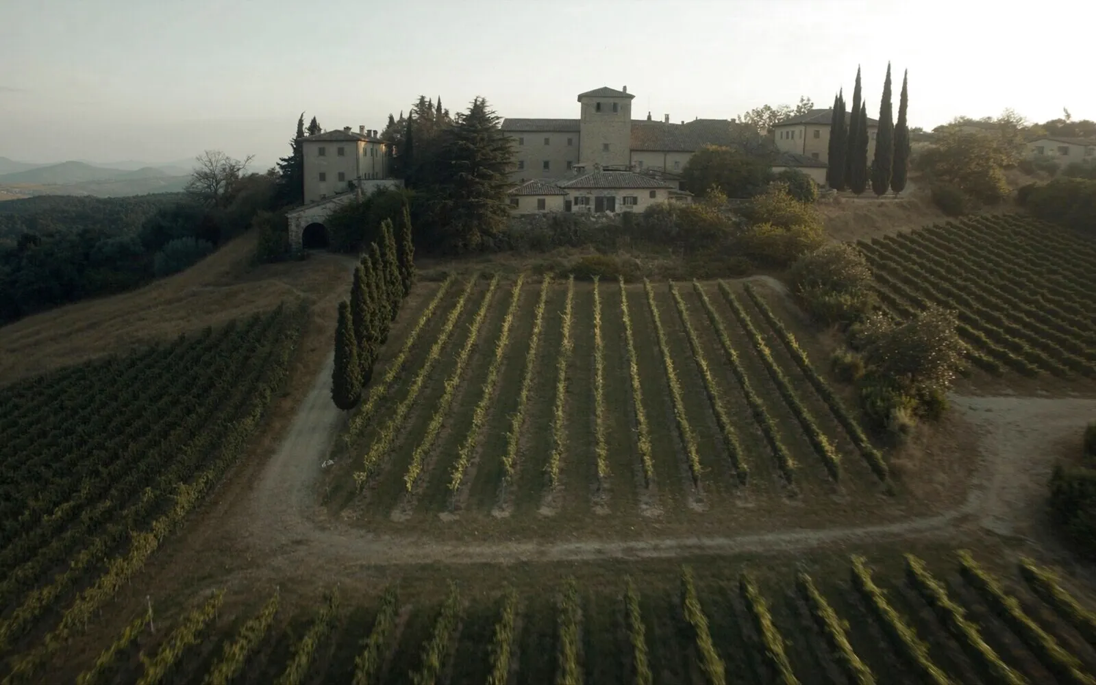 Vineyard rows in Tuscany with a stone estate above
